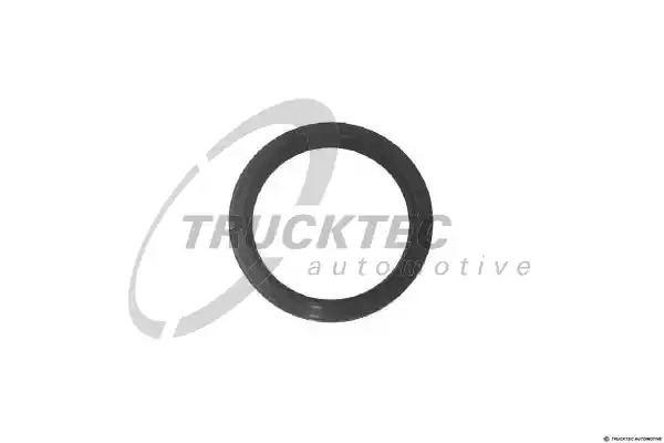 Уплотняющее кольцо TRUCKTEC AUTOMOTIVE 07.10.008