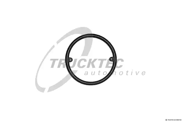 Уплотняющее кольцо TRUCKTEC AUTOMOTIVE 07.18.042