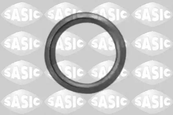 Уплотняющее кольцо SASIC 1640020
