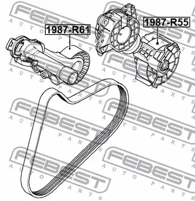 Ролик FEBEST 1987-R55