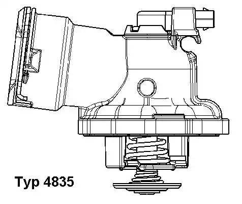 Цилиндр LPR 4835 (C31097)