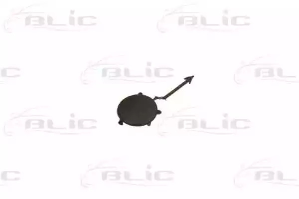 Покрытие BLIC 5513-00-0552970P