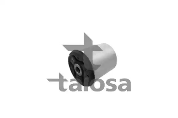 Подвеска TALOSA 62-04850