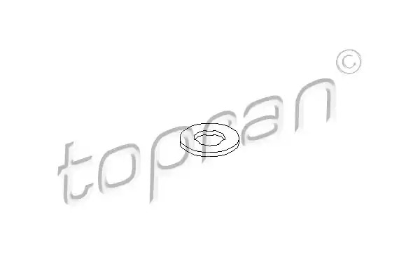 Ветвовое стекло TOPRAN 401 502
