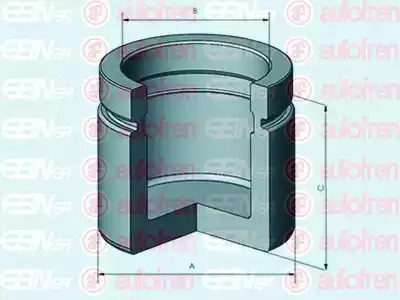 Поршень AUTOFREN SEINSA D025296