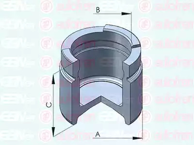 Поршень AUTOFREN SEINSA D025315