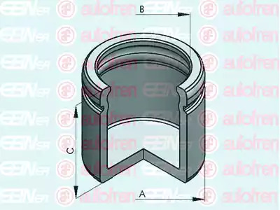 Поршень AUTOFREN SEINSA D025549