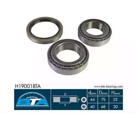 Комплект подшипника BTA H19001BTA