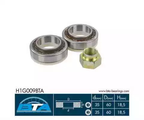 Комплект подшипника BTA H1G009BTA