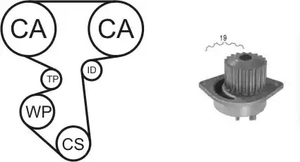 Комплект водяного насоса / зубчатого ремня AIRTEX WPK-160003