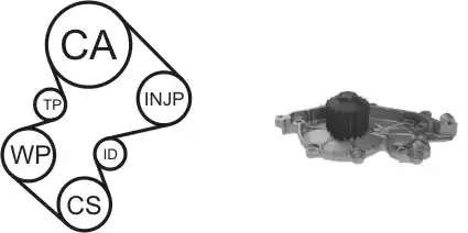 Комплект водяного насоса / зубчатого ремня AIRTEX WPK-164001